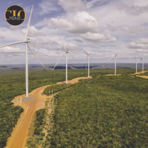Read more about the article Why Global Investors Are Turning to Brazil for Green Energy Opportunities