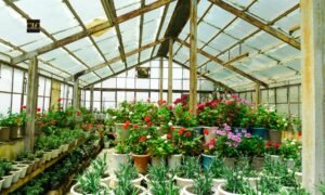 Read more about the article EBRD Approves €4 Million Financing to Boost Green Housing and Support Entrepreneurs in Bosnia and Herzegovina