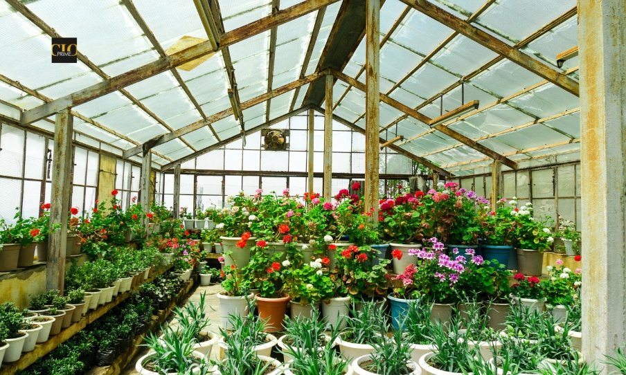 EBRD Approves €4 Million Financing to Boost Green Housing