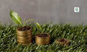Read more about the article  India’s Finance Chief Pitches Green Growth Agenda in 2026 Budget